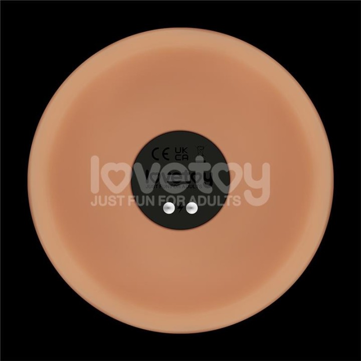 Power Basics Dildo com Vibração 10