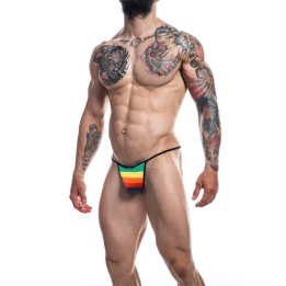 C4M12 Briefkini Arcoíris Rainbow