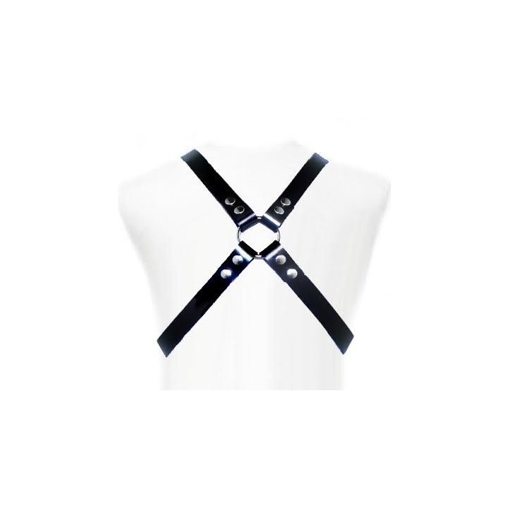 LEATHER BODY - BASIC HARNESS